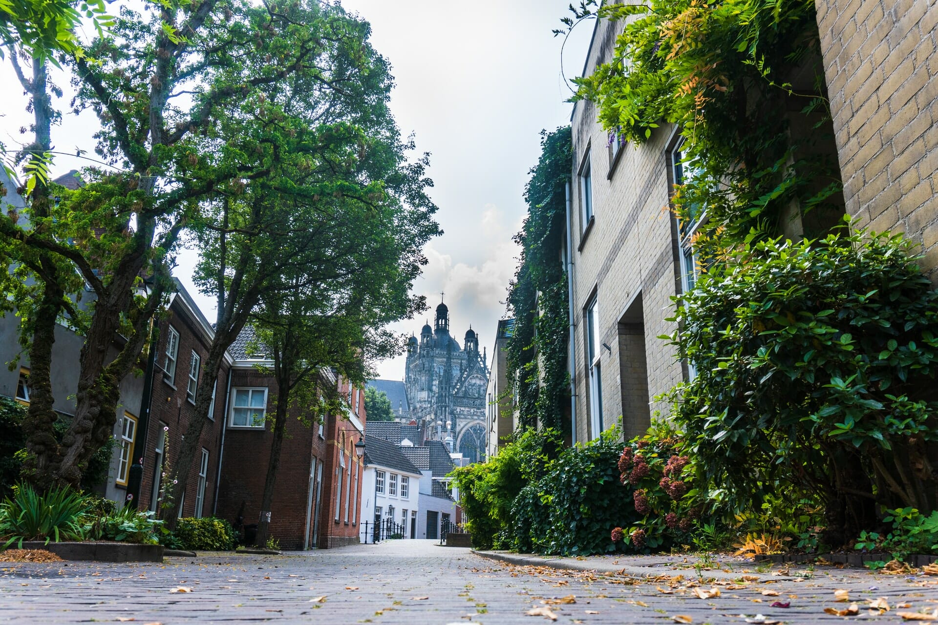 Investeren in Bedrijven in Den Bosch