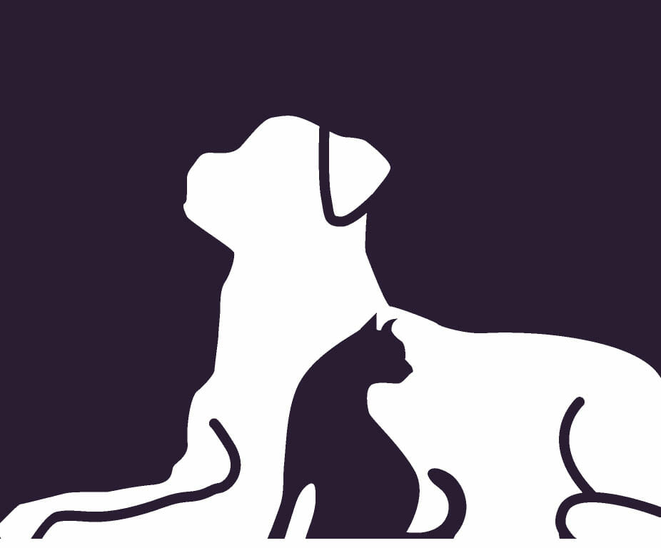 Investeren in dieren startup dieren