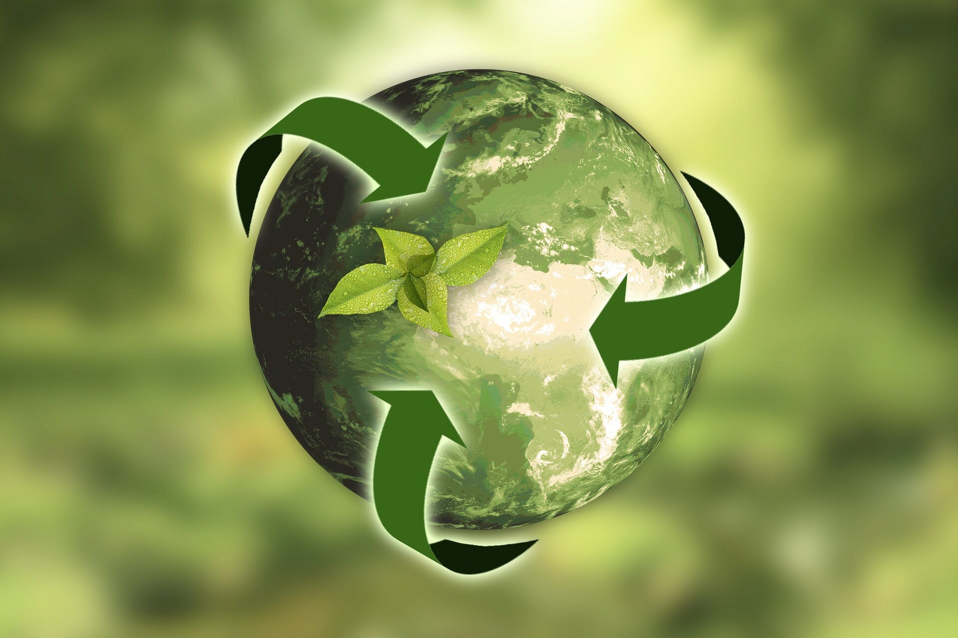investeer in duurzaamheid ecosysteem