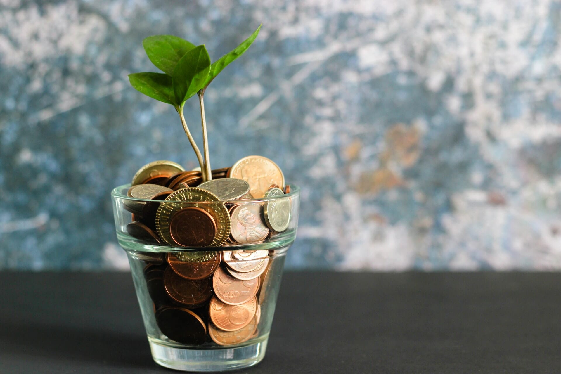Seed investments investor