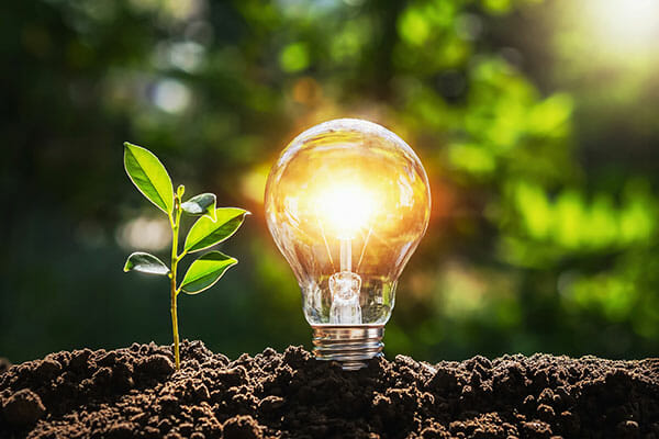 Biogas startup Early Growth