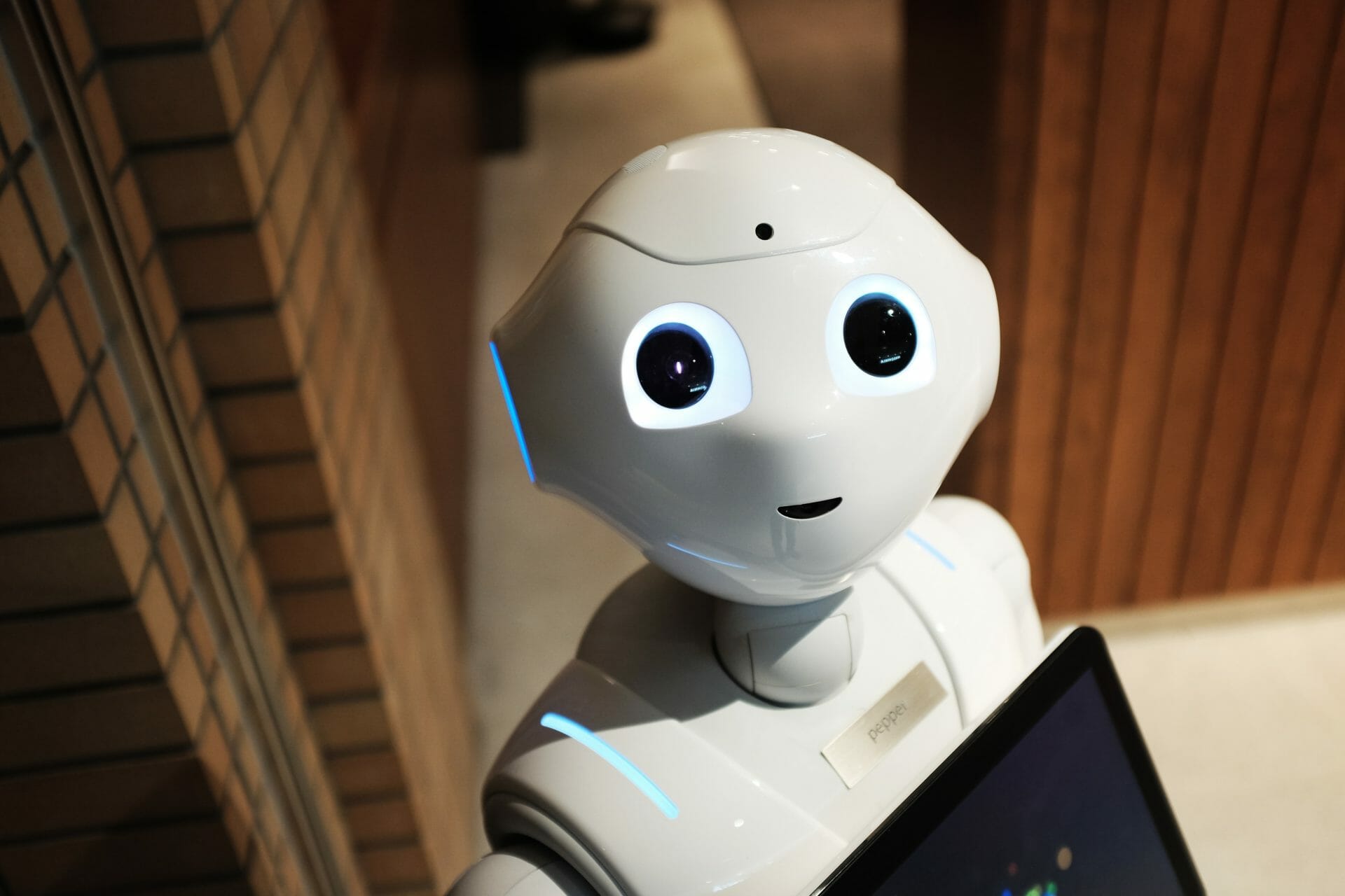 tech curious tech savy cofounder