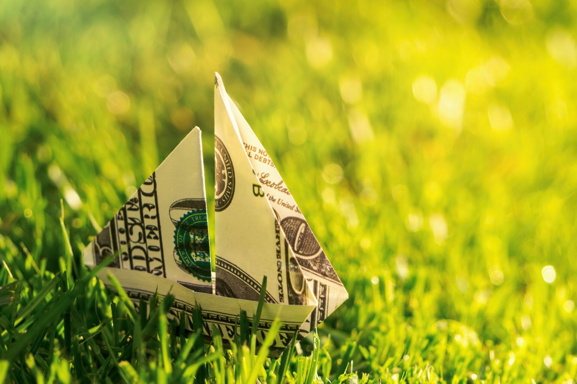 Investeerders in Argi en Finance