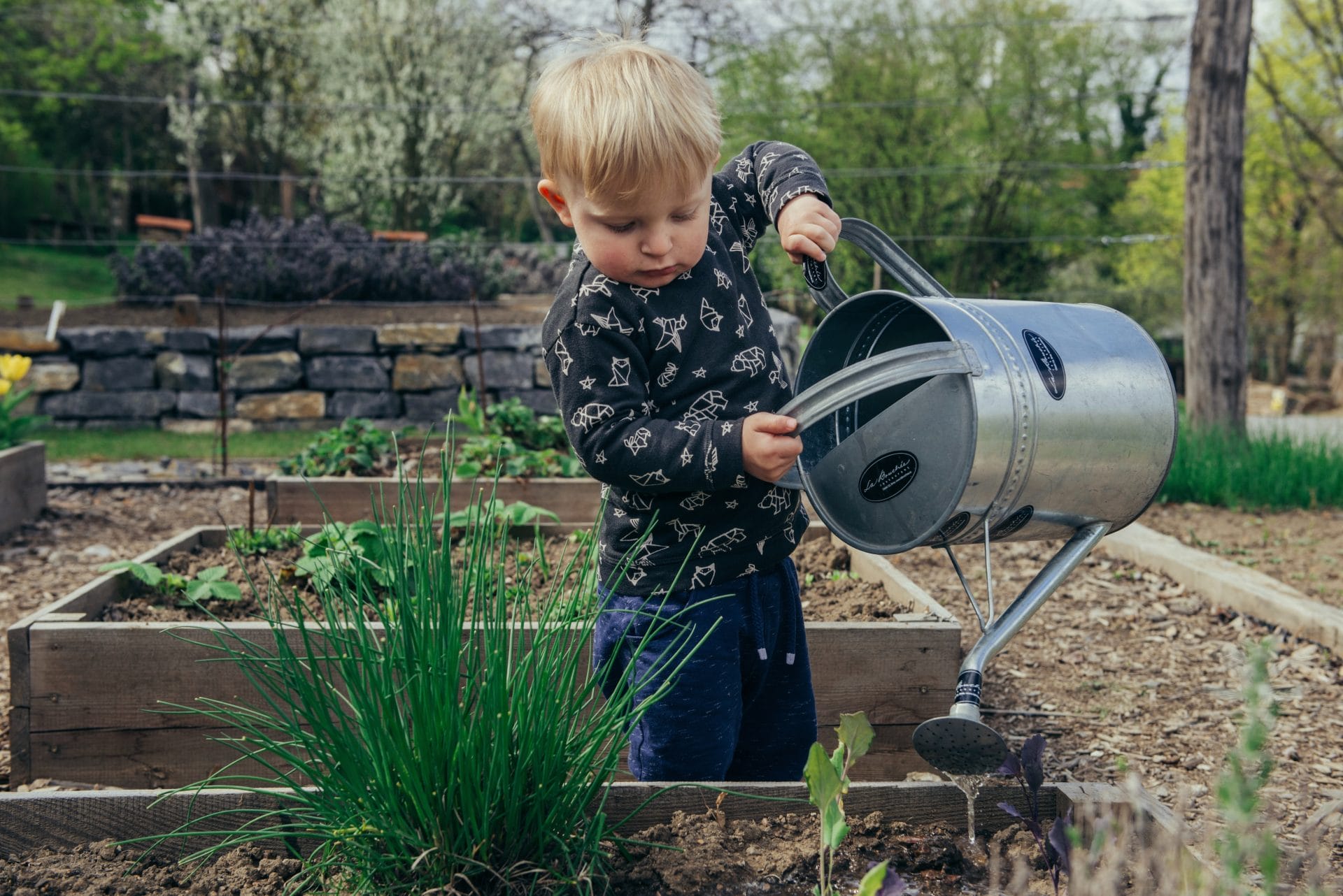 tuinbedrijf op zoek naar een investeerder