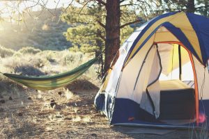 campingwinkel zoekt investeerder