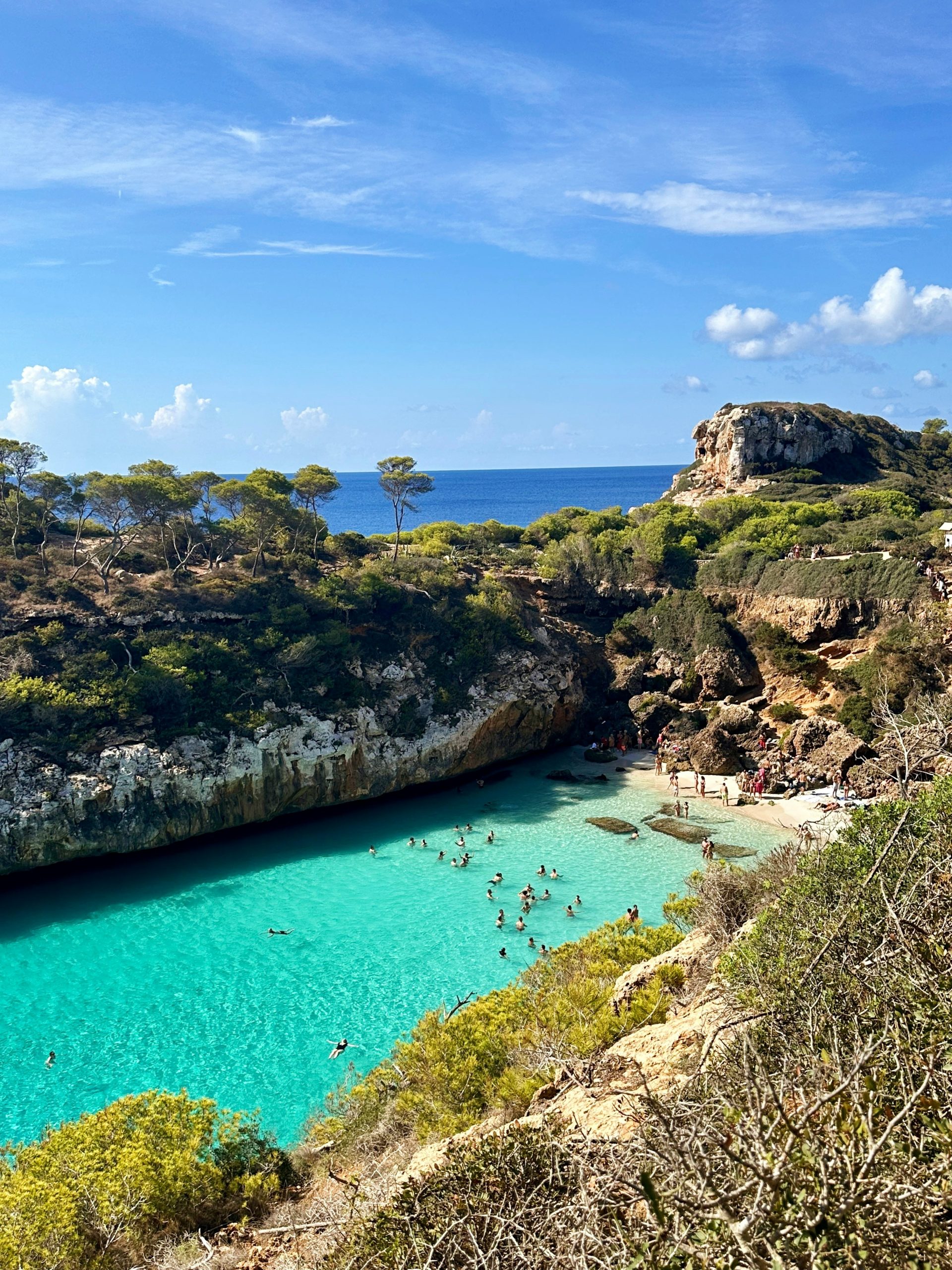 Pynn - header