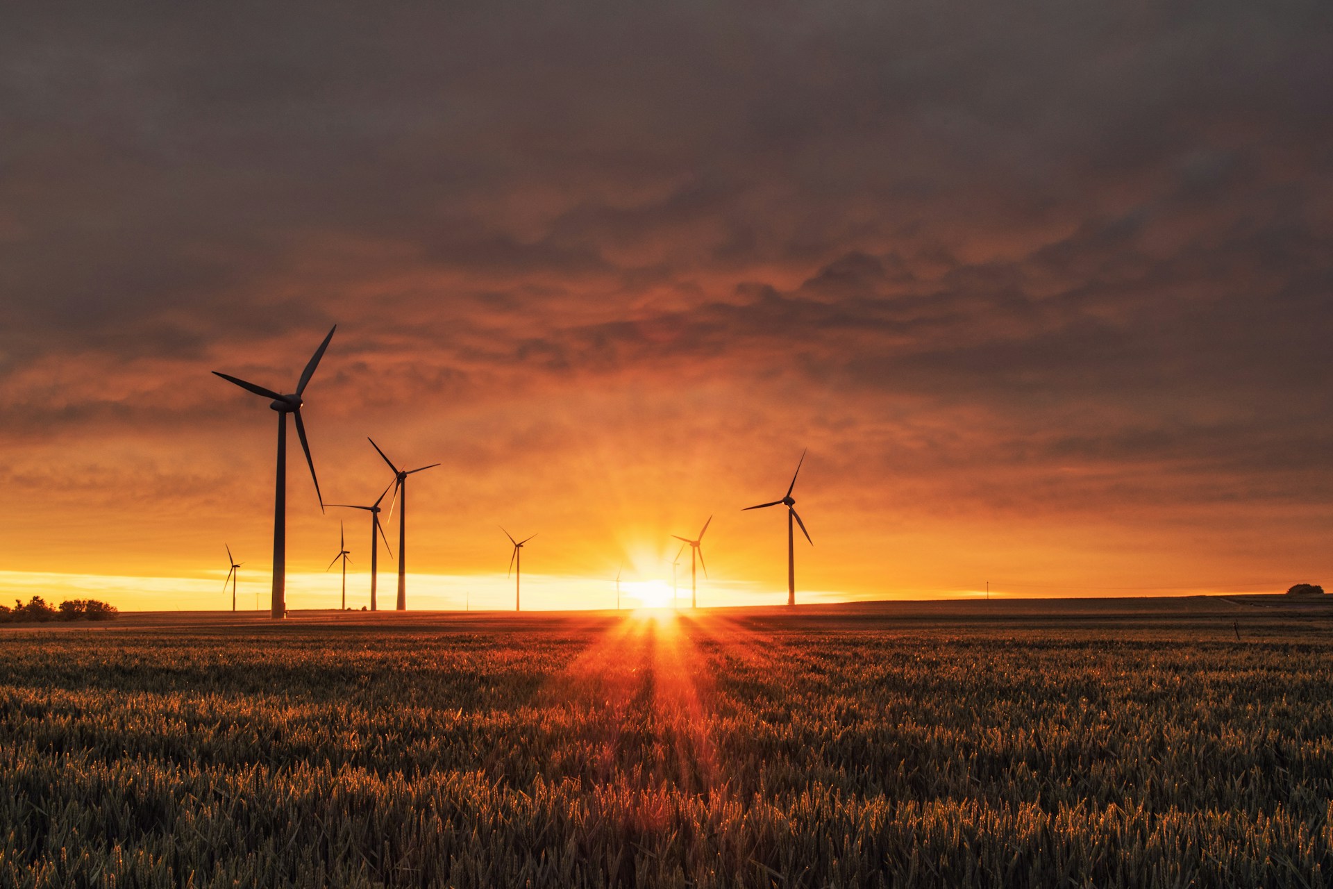 climate tech Nederland 2026